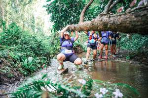 BIB: 
                            <button type="button" onclick="openModal(25515845)" class="btn btn-primary btn-sm float-right btn-popup" data-toggle="modal" data-target=".modal-high-quality">
                        <i class="fas fa-shopping-cart"></i> Add to Cart
                    </button>
                                            <button type="button" onclick="isThisMe(25515845, true)" class="btn btn-success btn-sm float-right btn-popup btn-isme hidden" data-toggle="tooltip" data-placement="bottom" title="นี่คือรูปของคุณใช่ไหม คลิกที่นี่เพื่อเอาเข้าอัลบั้ม">
                        <i class="fas fa-plus"></i> Add to album
                    </button>
                    <button type="button" onclick="isThisMe(25515845, false)" class="btn btn-warning btn-sm float-right btn-popup btn-isnotme hidden">
                        <i class="fas fa-ban"></i> Remove from album
                    </button>